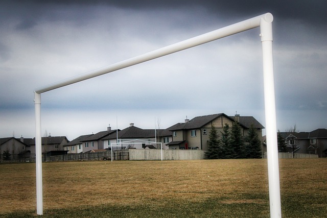 来球队的更 来球队的更