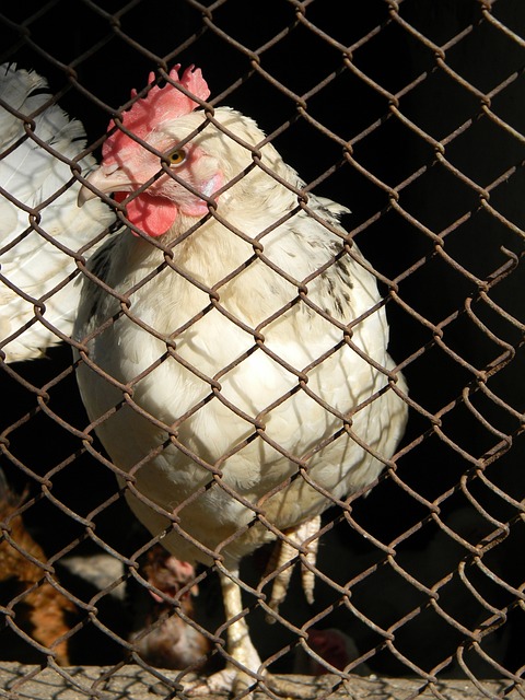 人能力的体 人能力的体