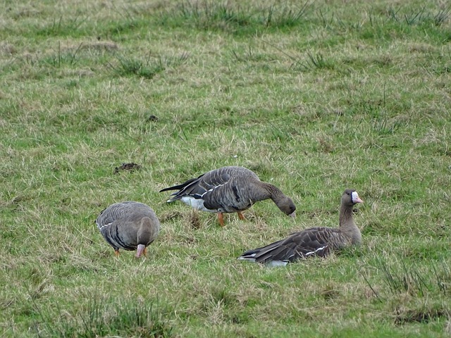 终是中国现 终是中国现