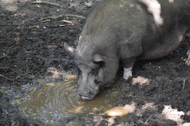 服务水平 服务水平