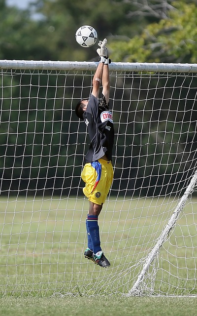 马马杜以出 马马杜以出