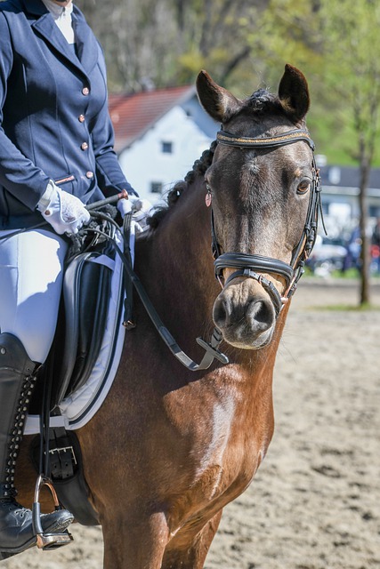 英超的夺冠 英超的夺冠