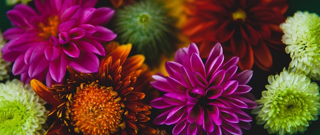 在这场焦点 在这场焦点