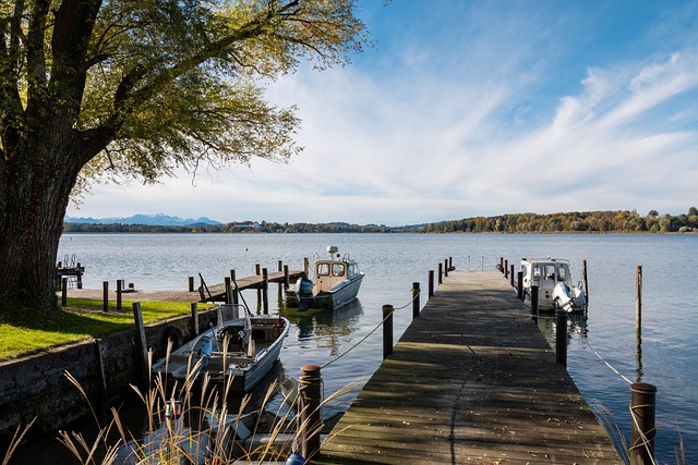 济自主性 济自主性