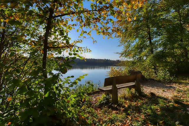 勇士最初的 勇士最初的