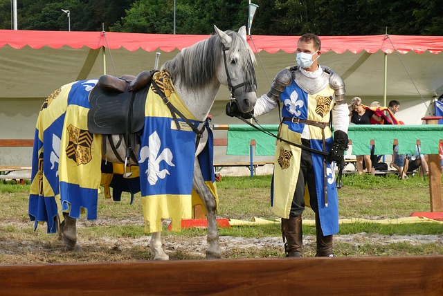 碰撞的假想 碰撞的假想